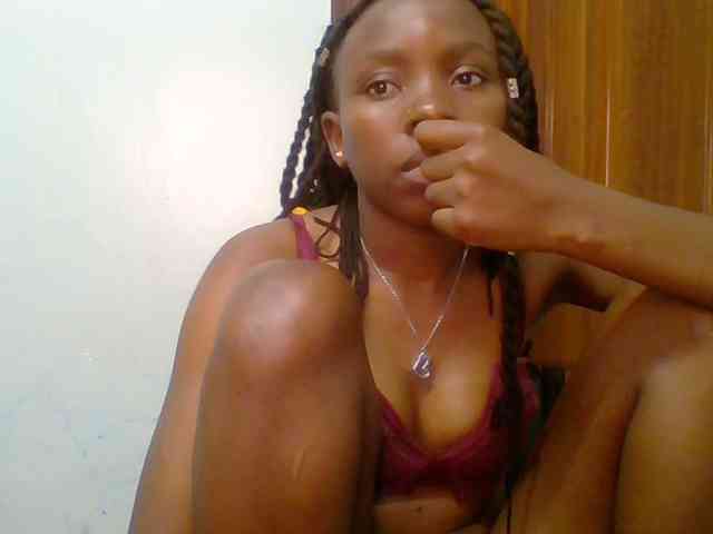 chocolate-brownie webcam