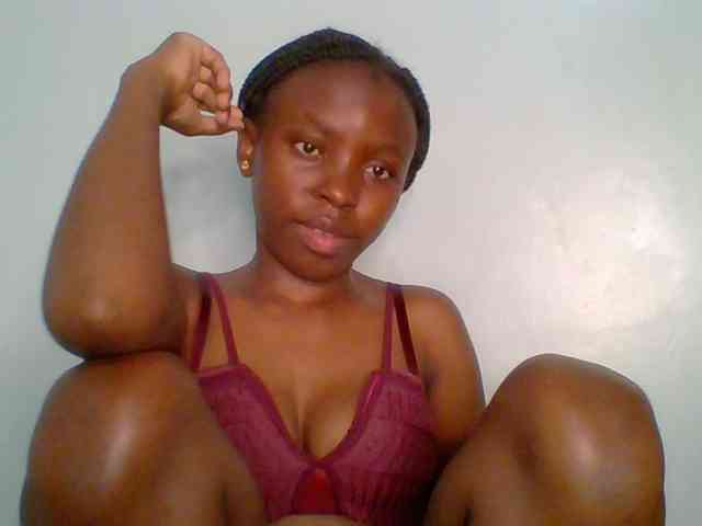 chocolate-brownie webcam