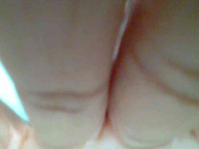 chocolate-brownie webcam