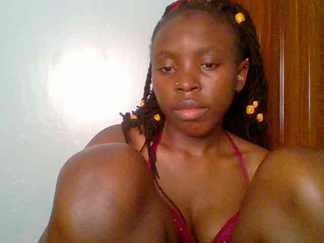 chocolate-brownie webcam