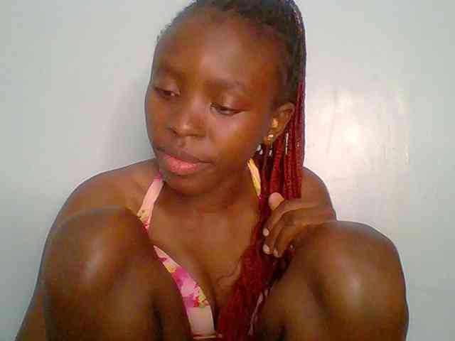 chocolate-brownie webcam