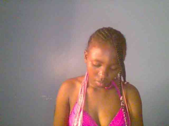 chocolate-brownie webcam