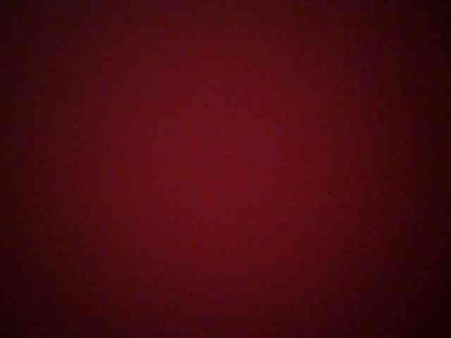 chocolate-brownie webcam