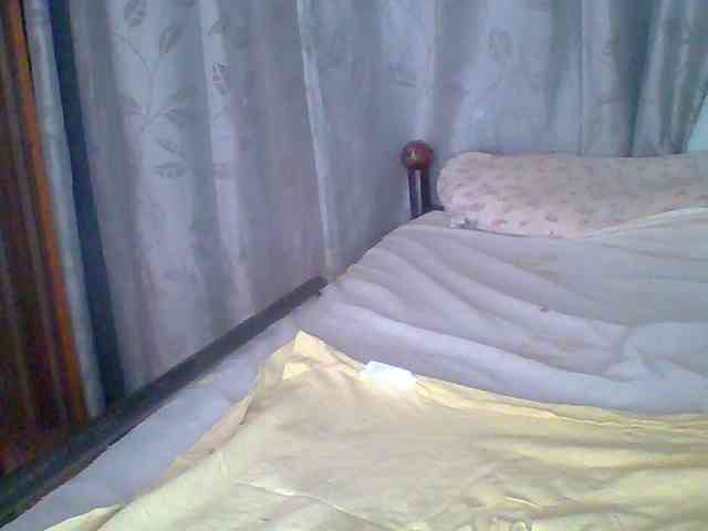 chocolate-brownie webcam