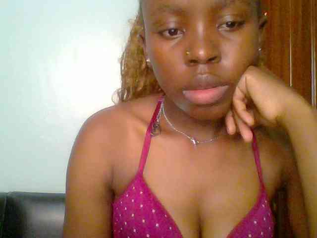 chocolate-brownie webcam