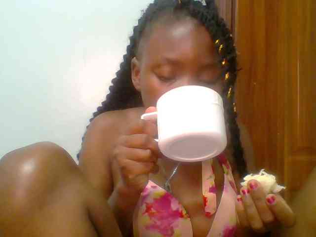 chocolate-brownie webcam