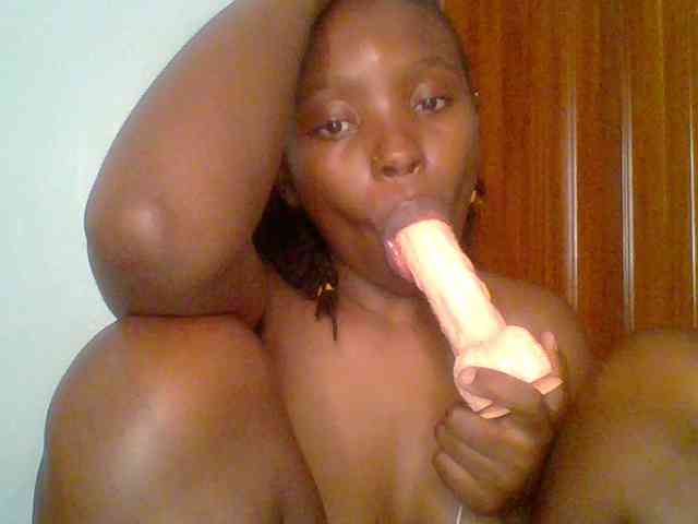 chocolate-brownie webcam