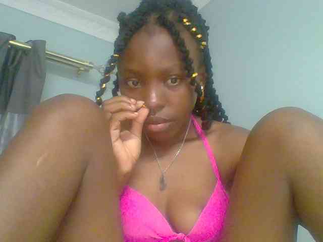 chocolate-brownie webcam