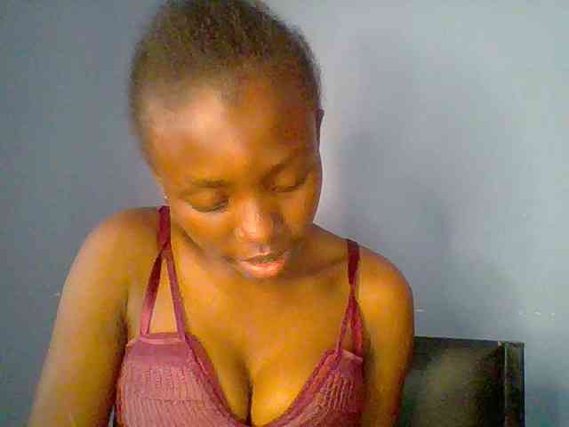 chocolate-brownie webcam