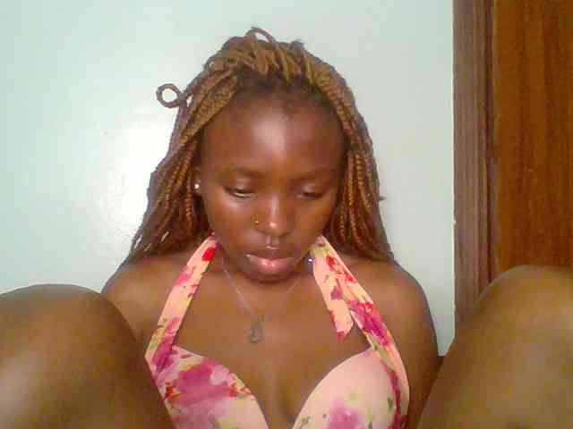 chocolate-brownie webcam