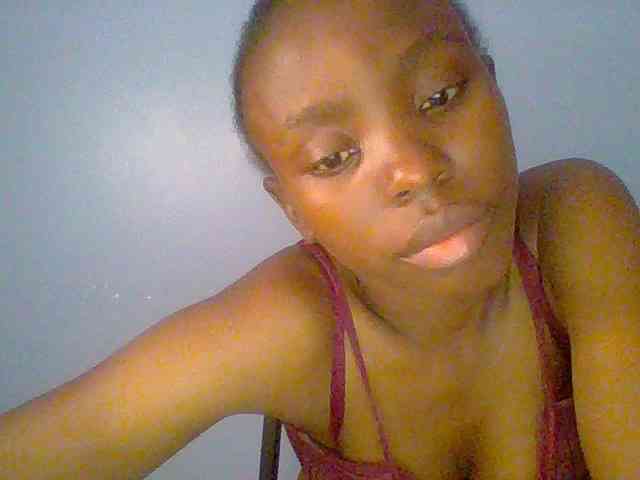 chocolate-brownie webcam