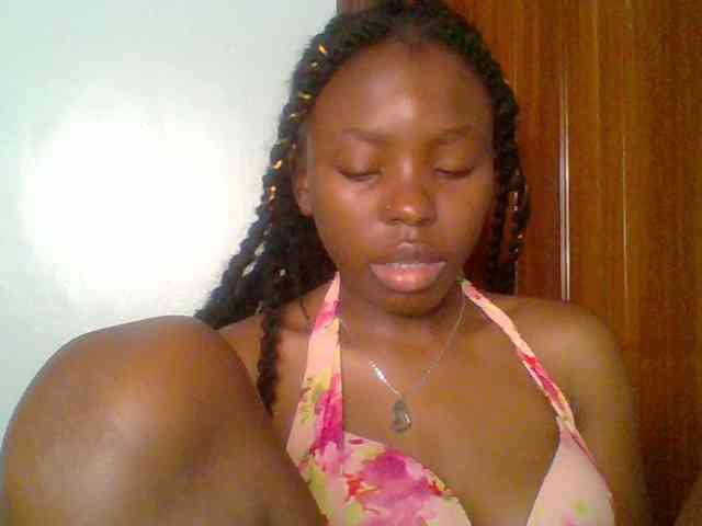 chocolate-brownie webcam