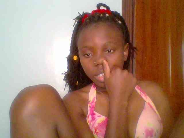 chocolate-brownie webcam