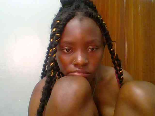 chocolate-brownie webcam