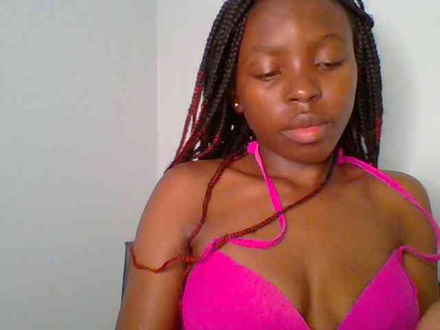 chocolate-brownie webcam