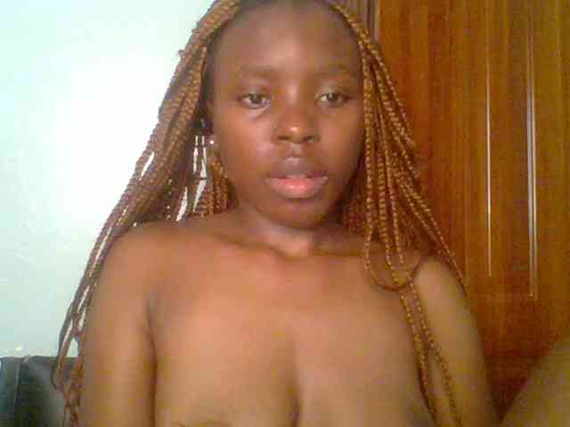 chocolate-brownie webcam