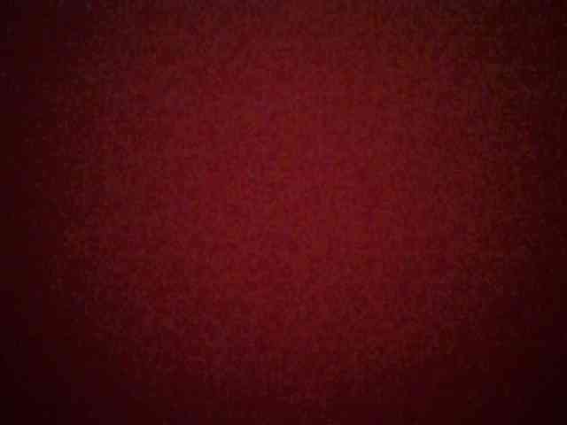 chocolate-brownie webcam