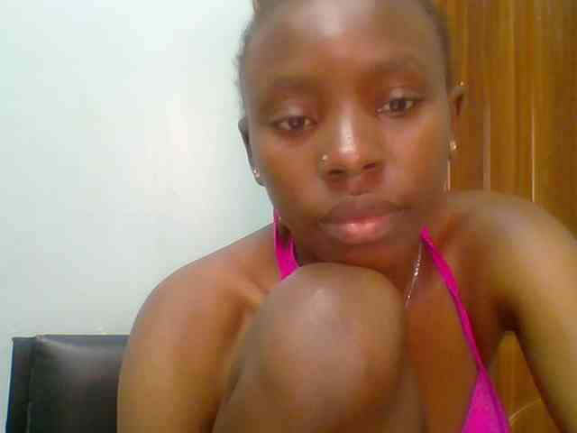 chocolate-brownie webcam