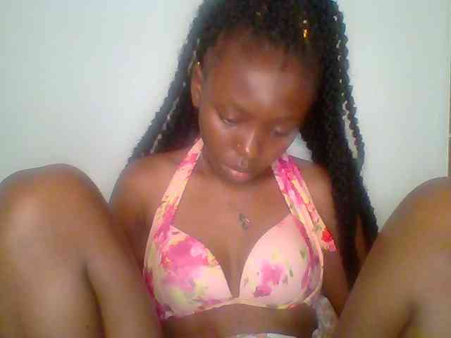 chocolate-brownie webcam