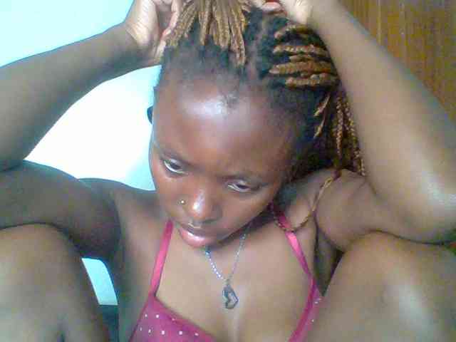 chocolate-brownie webcam