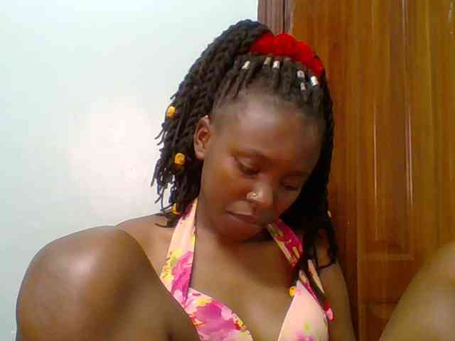 chocolate-brownie webcam