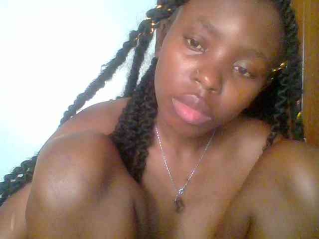 chocolate-brownie webcam