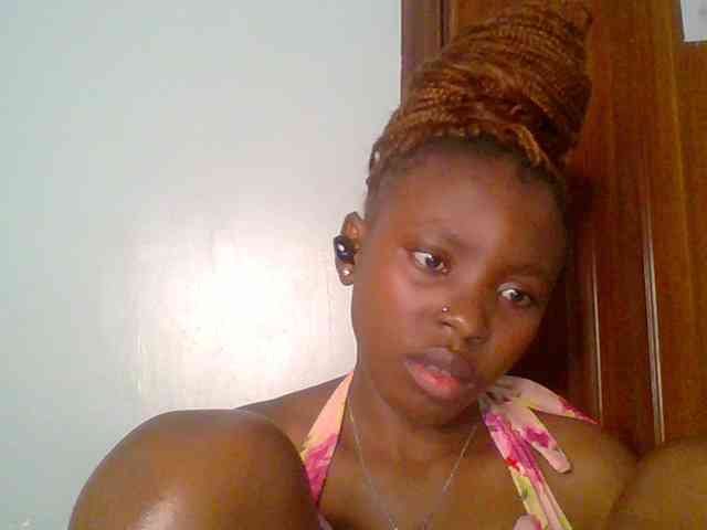 chocolate-brownie webcam