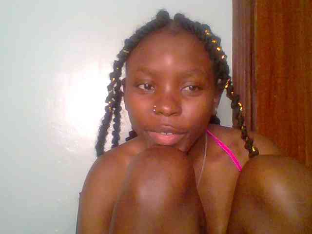 chocolate-brownie webcam