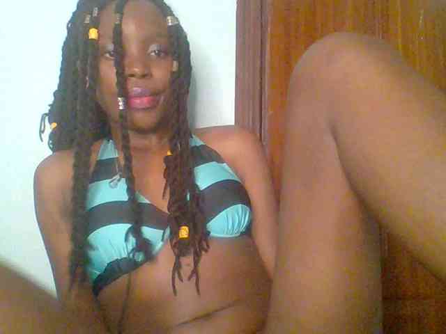 chocolate-brownie webcam