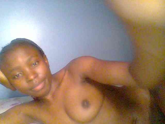 chocolate-brownie webcam