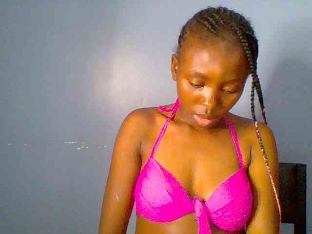 chocolate-brownie webcam