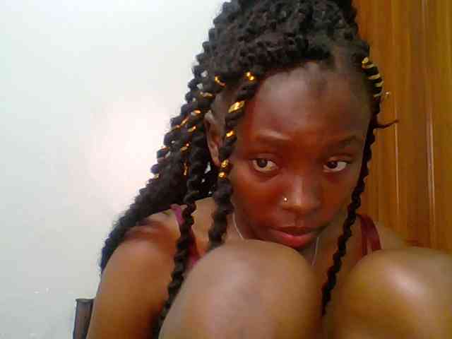 chocolate-brownie webcam