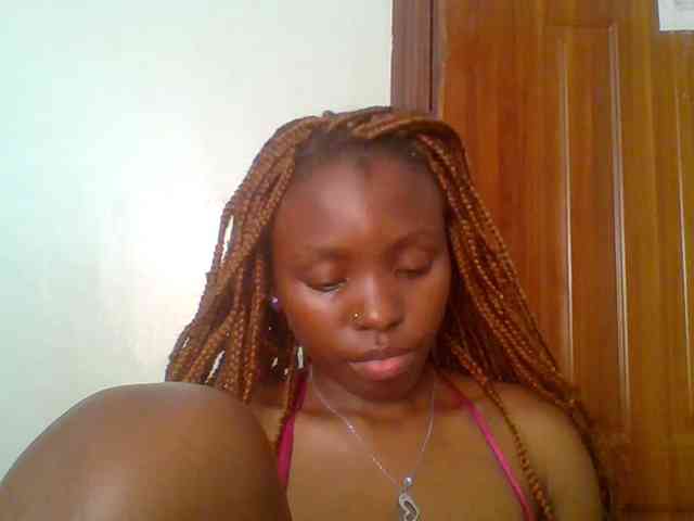 chocolate-brownie webcam