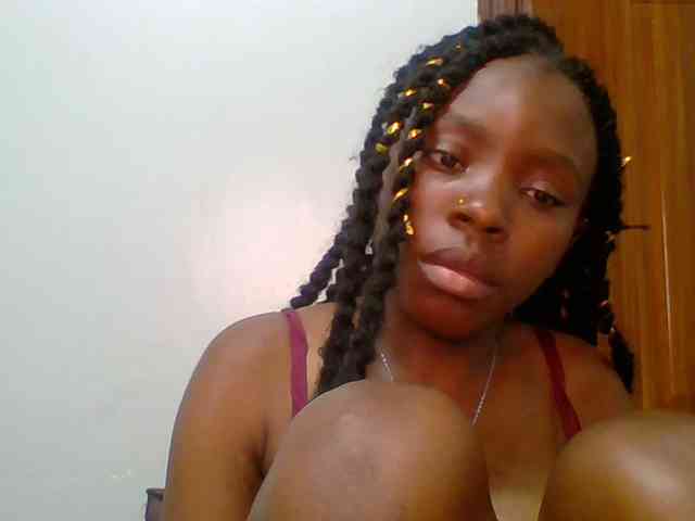 chocolate-brownie webcam