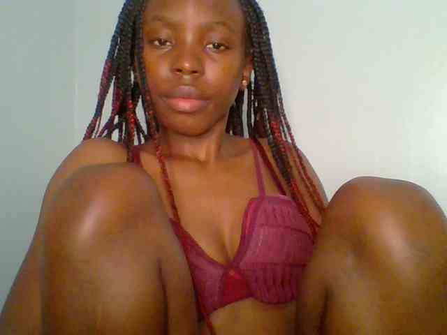 chocolate-brownie webcam