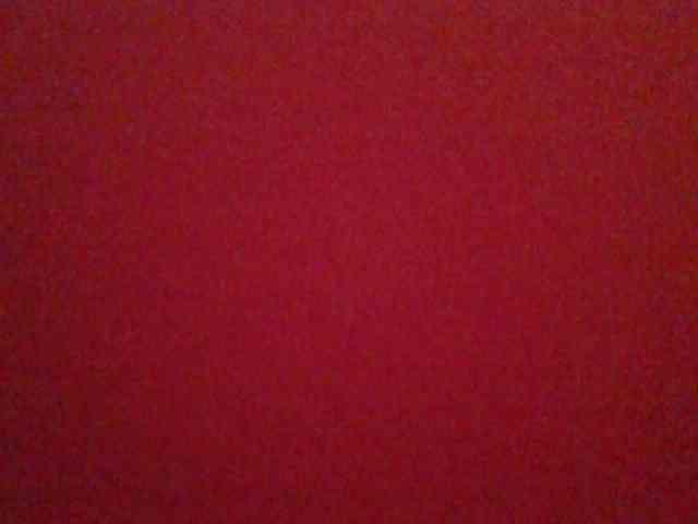 chocolate-brownie webcam