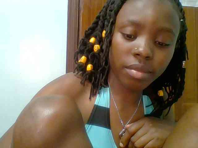 chocolate-brownie webcam