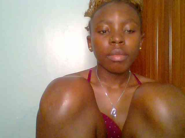 chocolate-brownie webcam