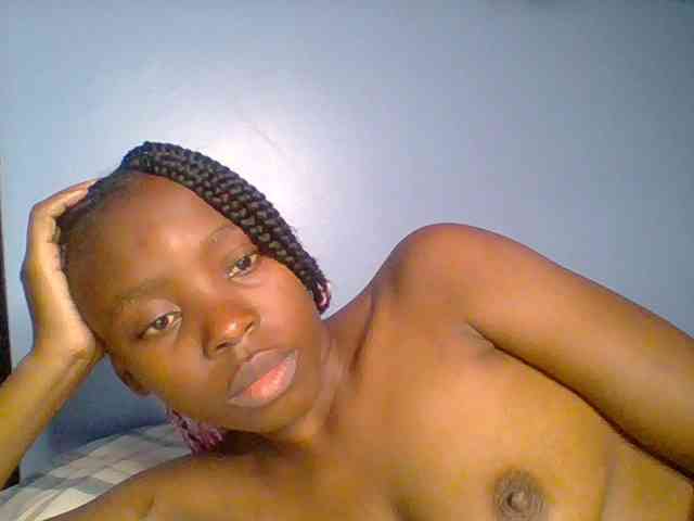 chocolate-brownie webcam