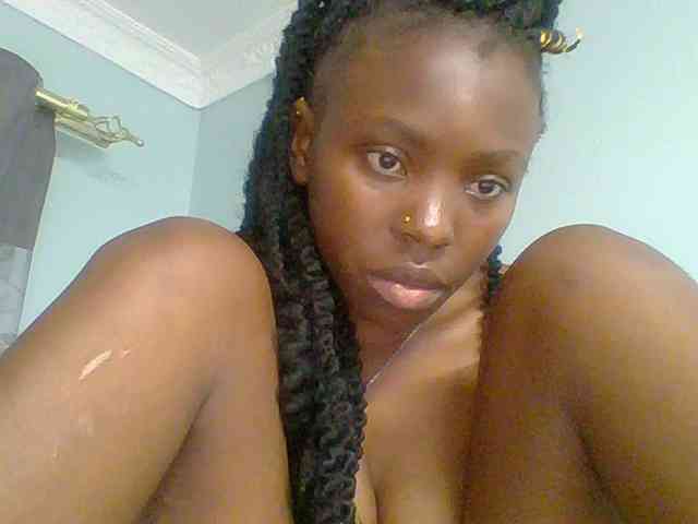 chocolate-brownie webcam