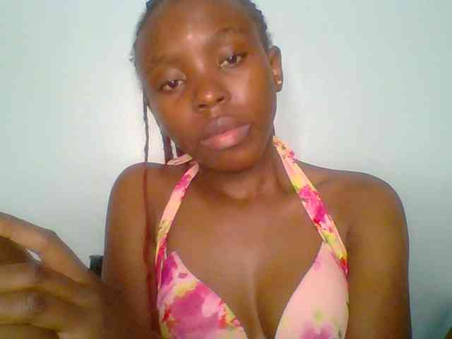 chocolate-brownie webcam