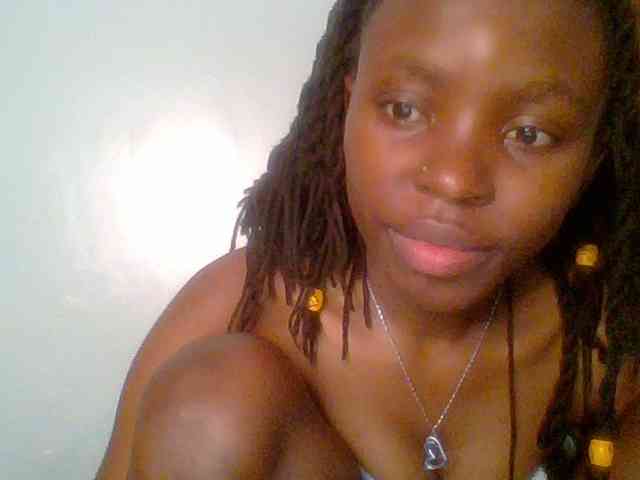 chocolate-brownie webcam