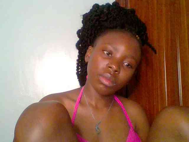 chocolate-brownie webcam