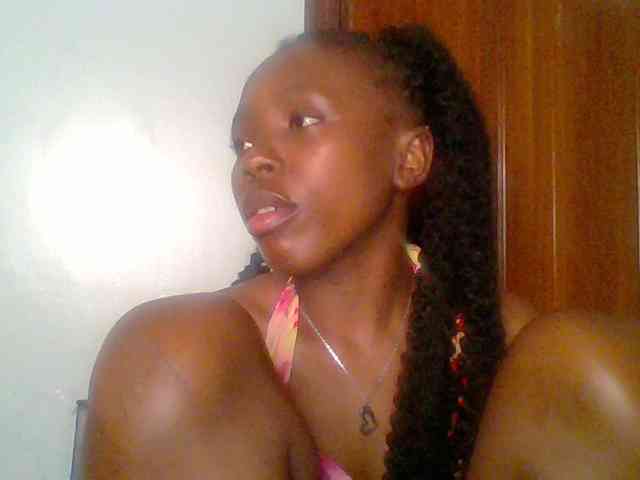 chocolate-brownie webcam