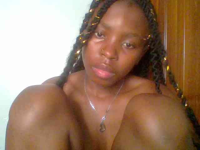 chocolate-brownie webcam