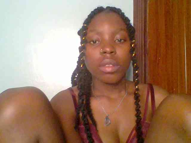 chocolate-brownie webcam