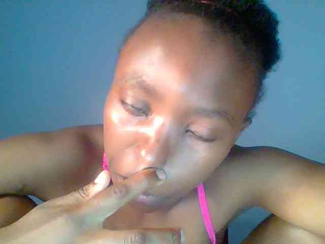 chocolate-brownie webcam