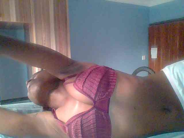 chocolate-brownie webcam