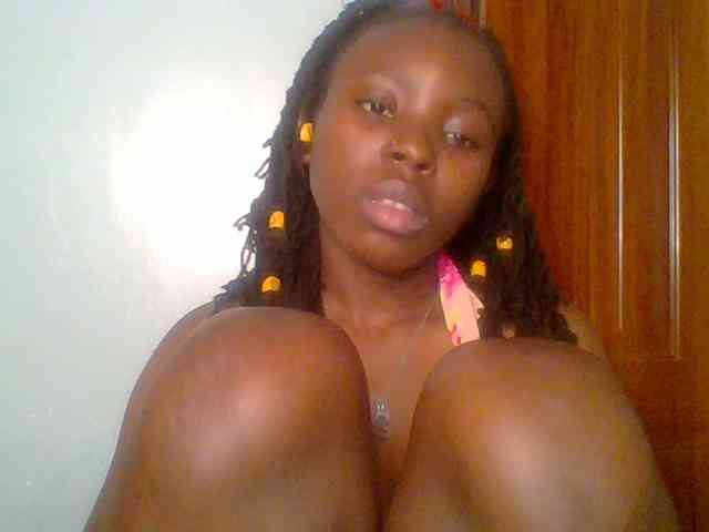 chocolate-brownie webcam