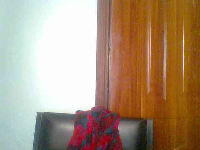 chocolate-brownie webcam